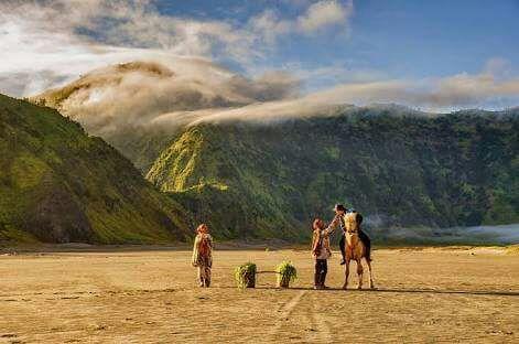 Sedulur Homestay Bromo Ngoại thất bức ảnh