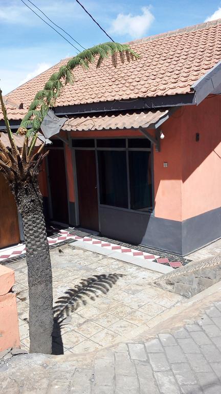 Sedulur Homestay Bromo Ngoại thất bức ảnh